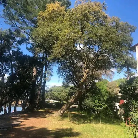 Appartement Situe Au Coeur Du Centre D'hossegor, Parking Prive, Wifi,classe 3 Etoiles Soorts-Hossegor