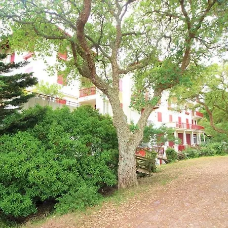 Situe Au Coeur Du Centre D'hossegor, Parking Prive, Wifi,classe 3 Etoiles